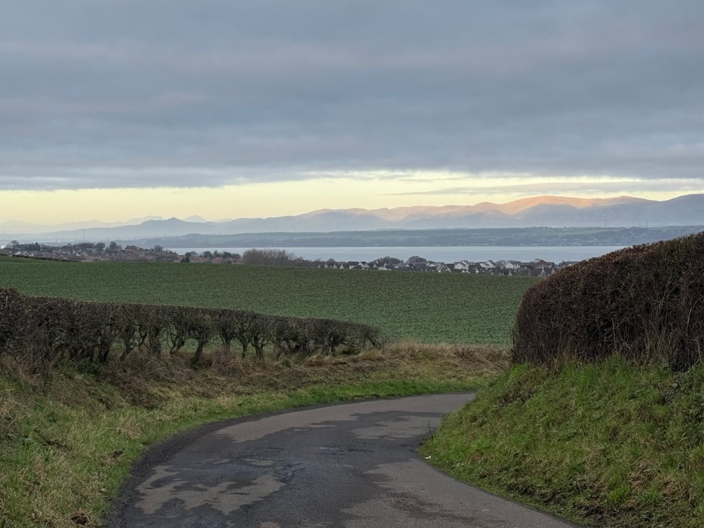 Black Clouds and&nbsp;Bullfinches