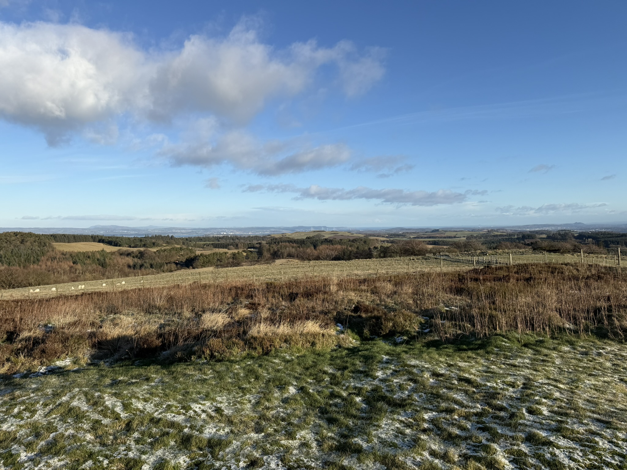 Frosty Paths, Clear Skies, and Long Shadows